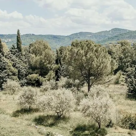 Le Bas Chateau Provence Luberon * Saint-Michel-lʼObservatoire