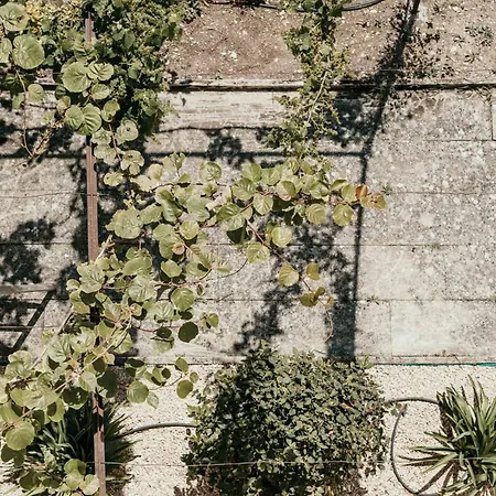 Willa Le Bas Chateau Provence Luberon *