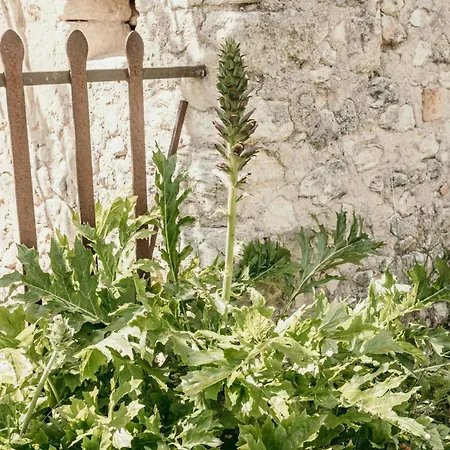 Le Bas Chateau Provence Luberon Willa