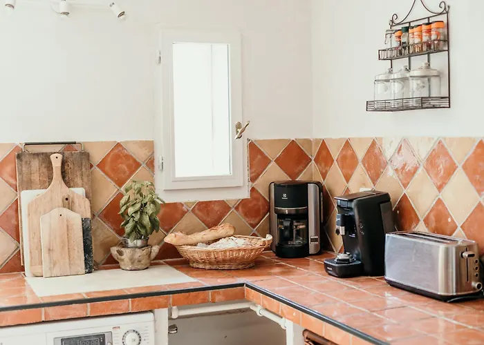 Le Bas Chateau Provence Luberon * Saint-Michel-lʼObservatoire