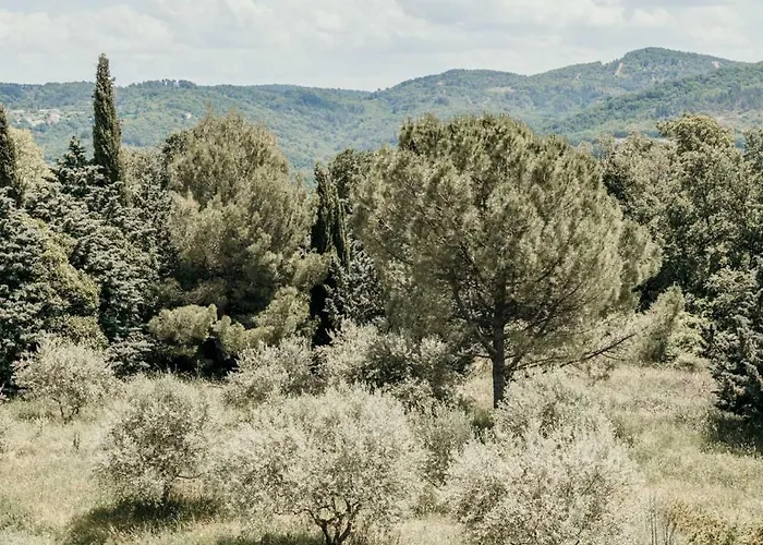 Le Bas Chateau Provence Luberon Villa *